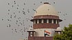 No Relief For Mamata Banerjee As SC Refuses To Unfreeze TMC Bank Accounts PTI : Supreme Court of India